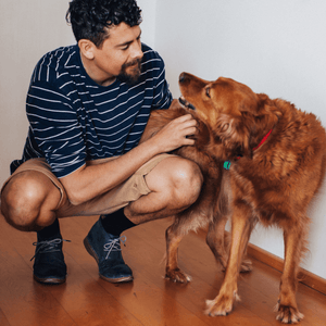 Man wearing Merino Wool Crew Socks playing with a golden retriever in a cozy indoor setting.