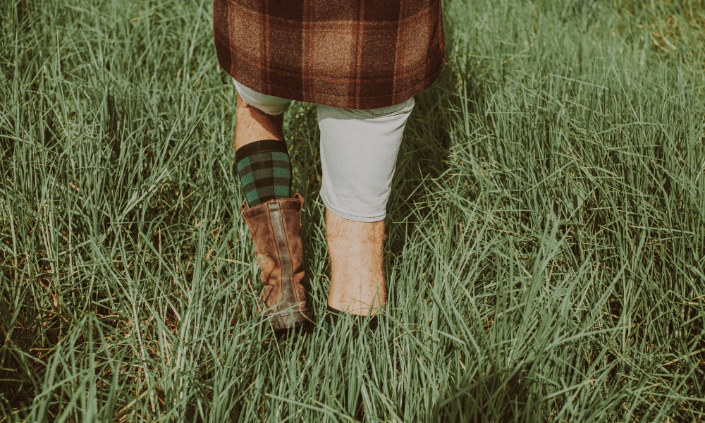 The benefits of men's merino socks showcased as someone walks through tall grass.
