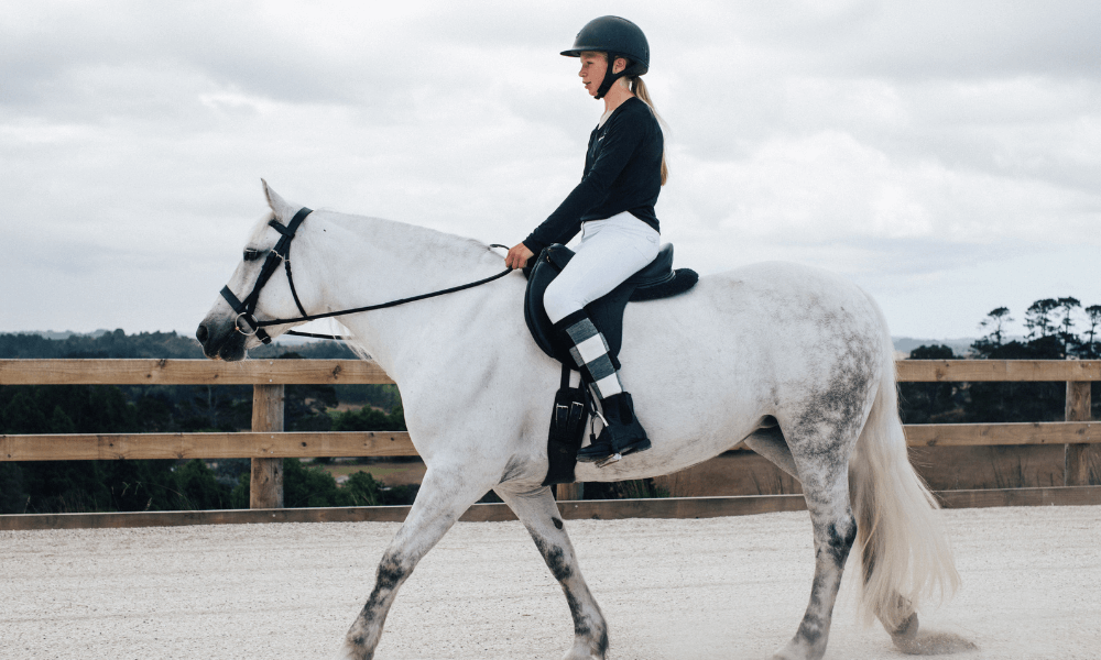 Elevating Your Equestrian Experience with Comfort and Style