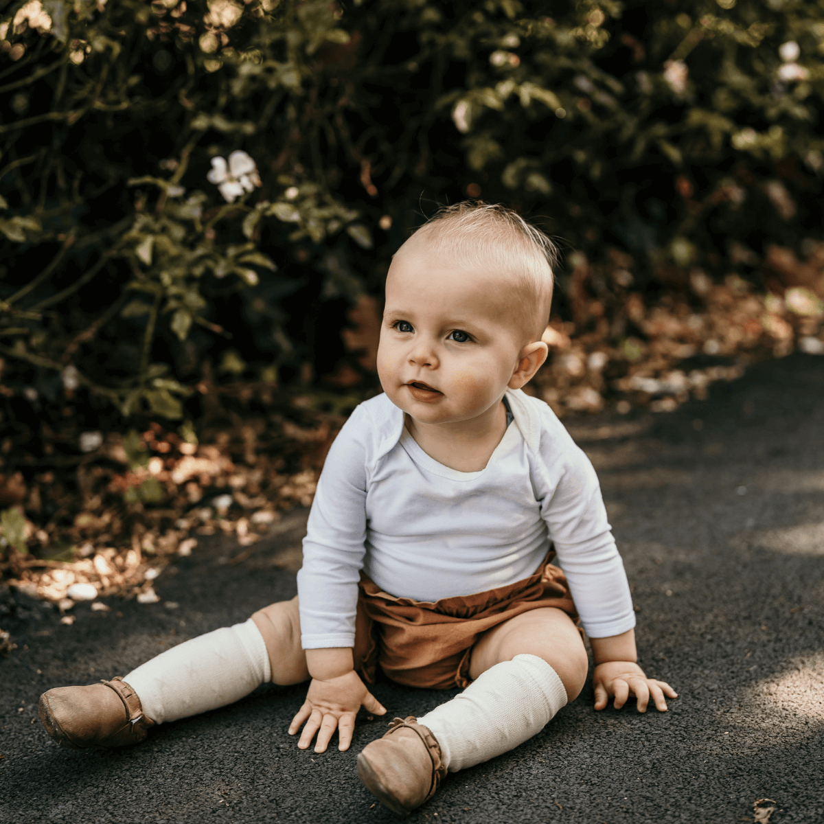 Merino Wool Knee High Socks for Baby in Owl worn by a baby sitting outdoors.