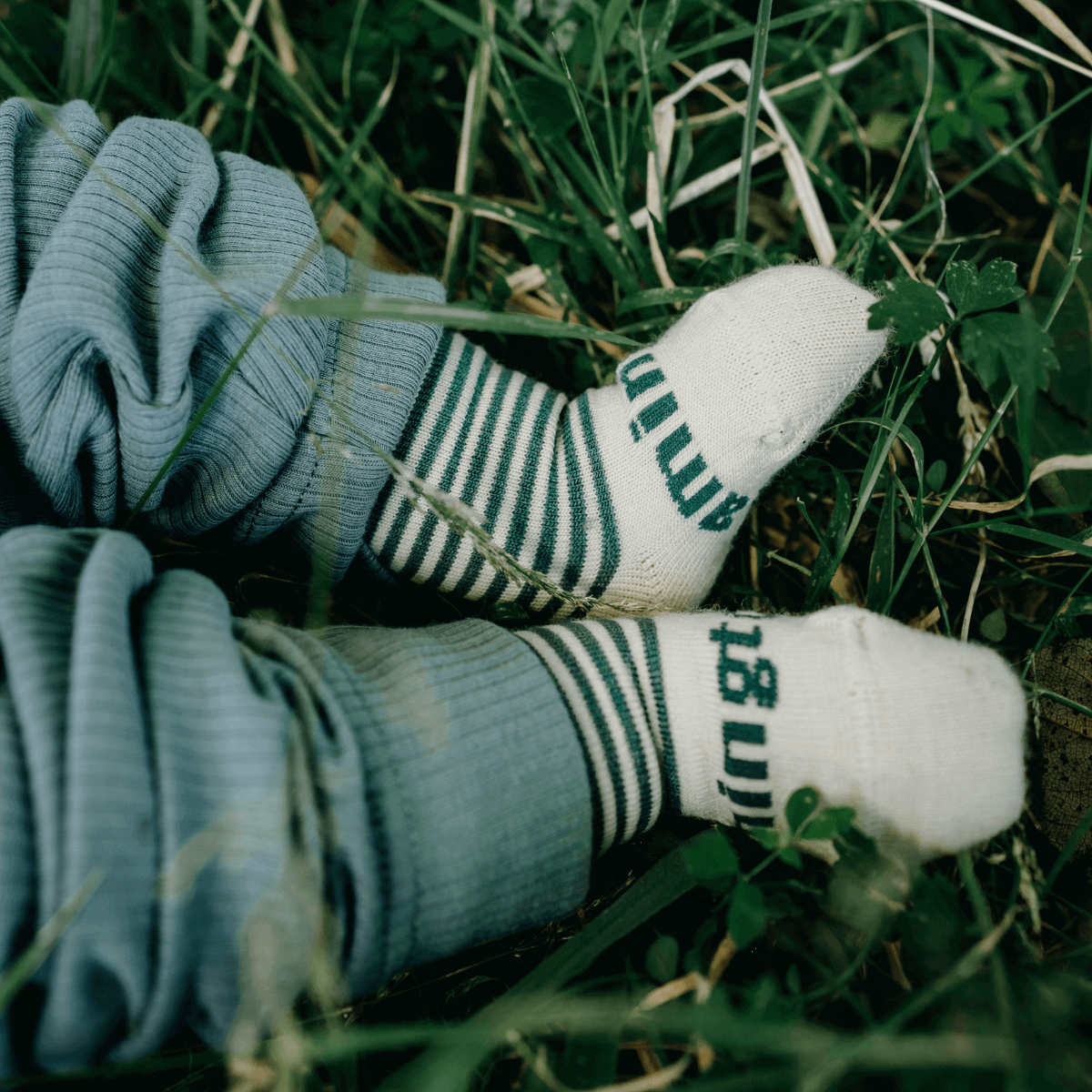 Merino Wool Crew Socks for Baby in Tui with oatmeal and green stripes, resting on grass.